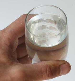 Figure 2.14 Sucrose (sugar table) molecules are hydrophilic and mix well with water, whereas unsaturated fats (mineral oils) are hydrophobic and do not mix well with water