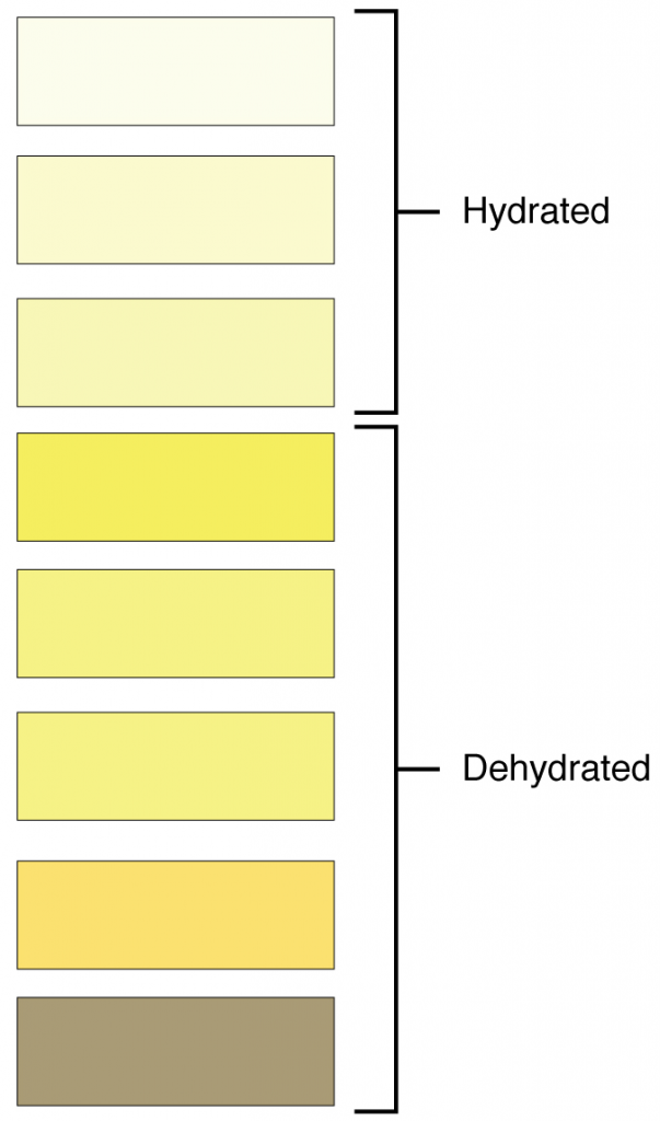 Urine colour chart