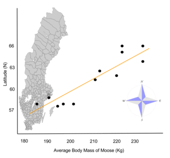 Geographic variation in moose