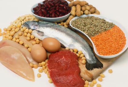 Figure 3.3 Protein-rich food 