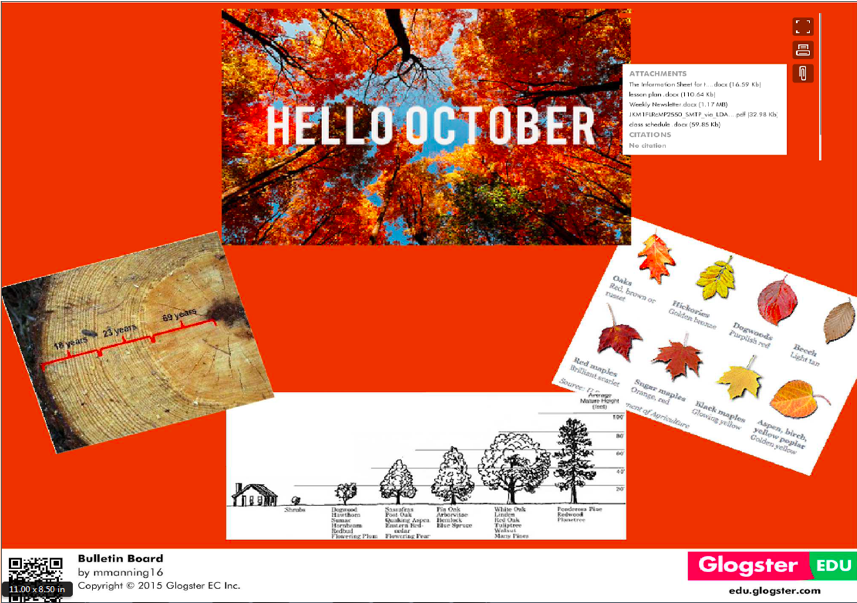 This is a screenshot that depicts how an undergraduate student uses Glogster EDU for a Virtual Classroom Bulletin Board.