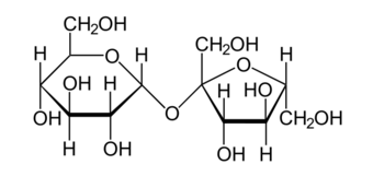 The molecule sucrose (common table sugar)