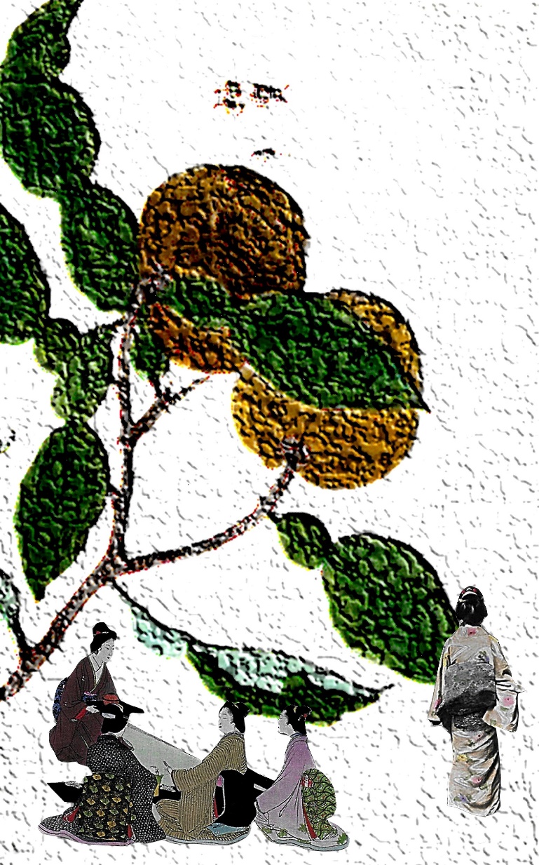 Japanese women having tea under a Yuzu tree. One woman is walking away. 