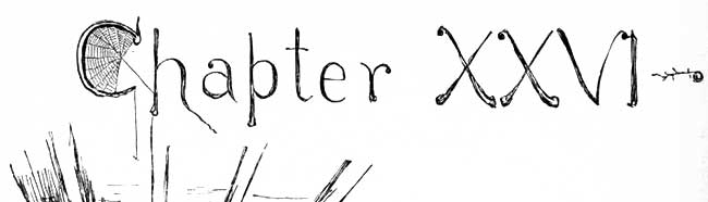 Chapter 26
