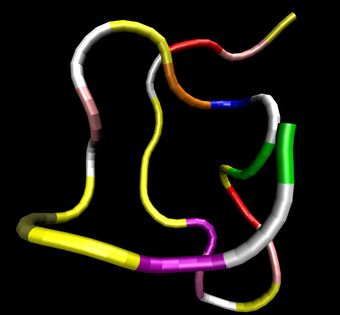 ANP hormone structure