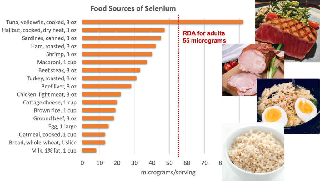 Bar graph showing dietary sources of selenium compared with the RDA for adults of 55 micrograms per day. Top sources include fish; meats such as ham, beef steak, turkey, and chicken; cottage cheese, pasta, eggs, brown rice, oatmeal, whole wheat bread, and milk.