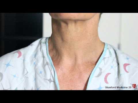 Thumbnail for the embedded element "Bronchial and Vesicular Breath Sounds"