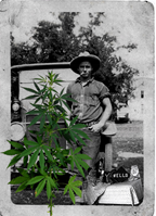 A man in his 20s with cigarette dangling from his lips poses in front of his car. A marijuana plant is in front of him.