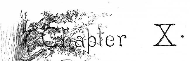 Chapter 10