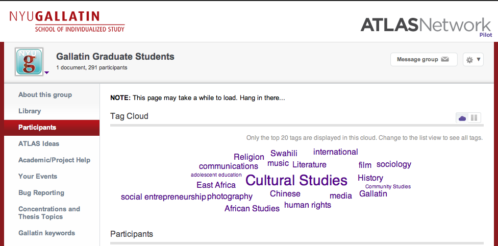 Screenshot of Atlas tag cloud for Gallatin MA students, showing the top 20 tags, with Cultural Studies heavily weighted in the center.