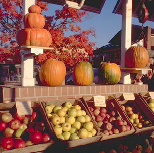 Apples and Pumpkins laying atop a market stand.