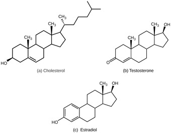 Lipid-derived hormones