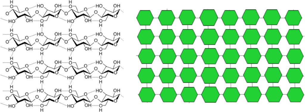 On the left, the chemical structure of cellulose, showing a total of 16 glucose units arranged in rows of 4 each, with hydrogen bonds linking them vertically, as in a grid. On the right, a simplified schematic of the chemical structure of cellulose, showing multiple green hexagons, each representing a glucose molecule, arranged in rows with lines linking them both vertically and horizontally, as in a grid
