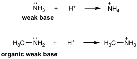 NH3 (weak base) + (H+) = (N+)H4, H3C-NH2 (organic weak base) + (H+) = H3C-(N+)H3