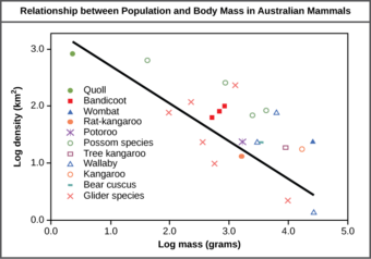 Population density is negatively correlated with body size