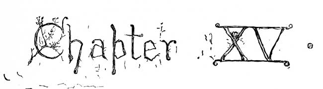 Chapter 15