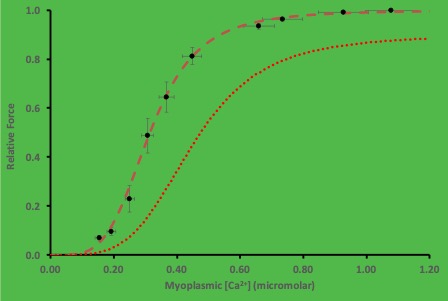 This graph plots relative force (varying between 0 and 1.0 against miocromolar [Ca2+], ranging from 0 on the left to 1.2 on the right. Two lines rise from the baseline to a plateau with a sigmoidal shape. The control line is the top one. Contractile force increases sigmoidally as [Ca2+] increases. The line on the right begins to rise at the same [Ca2+], but the slope is less and it rises to a lower plateau. This represents fatigued muscle where the Ca2+ sensitivity is decreased and the maximum force is decreased, probably due to less force per cross-bridge.