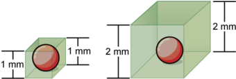 Cell Surface Size
