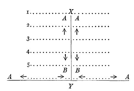 Fig. 4.—A = tendency to approach; B = tendency to withdraw; 1, 2, 3, 4, 5 = distance defining levels of accommodation; X = superordination; Y = subordination.