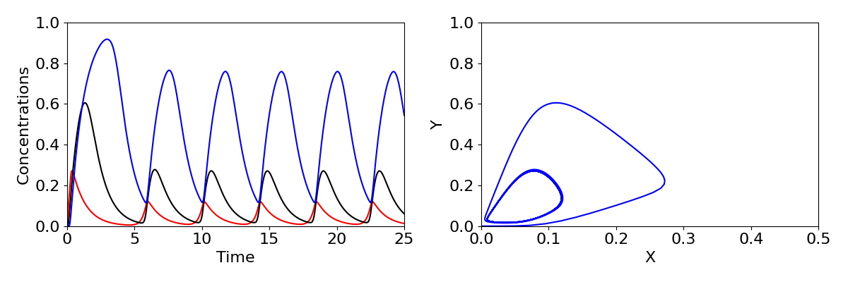 A time ocurse and phase diagram. 1. Concentrations are on the vertical axis and time on the horizontal axis. Three curves for each density all start at 0 when t=0. All show cyclesoccurring roughly every 4 time-steps with largest amplitudes in Z. 2. Y is on the vertical axis and X is on the horizontal axis. A trajectory starts at X=0 and Y=0, then shows cycles occurring.