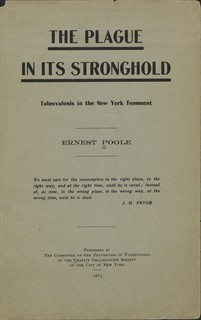 Cover of The Plague In Its Stronghold