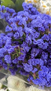 Cover of lavanda // lavender.